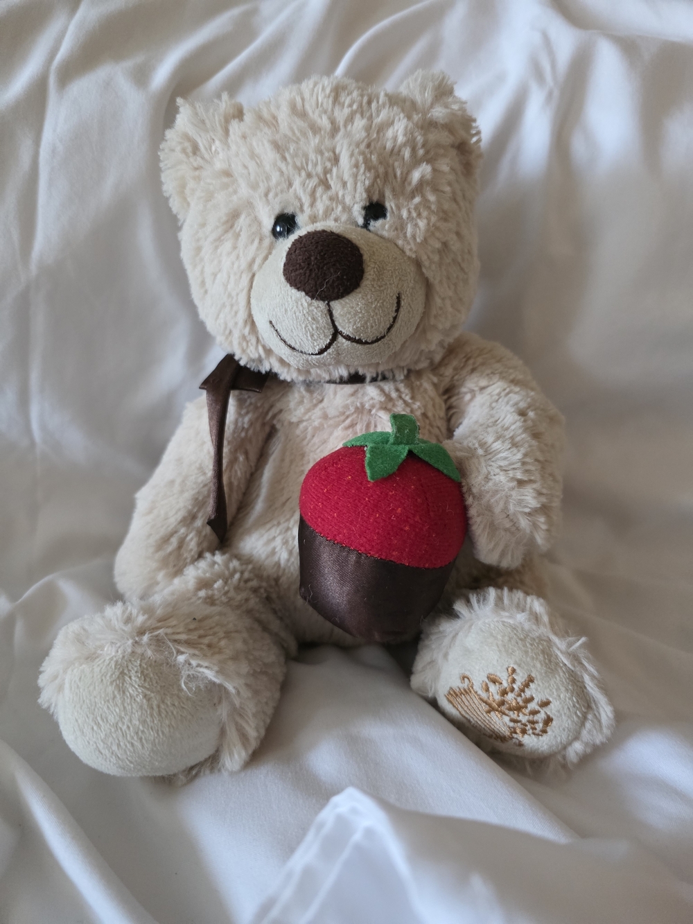 Edible Arrangements "Berry Loved" Plush Teddy Bear